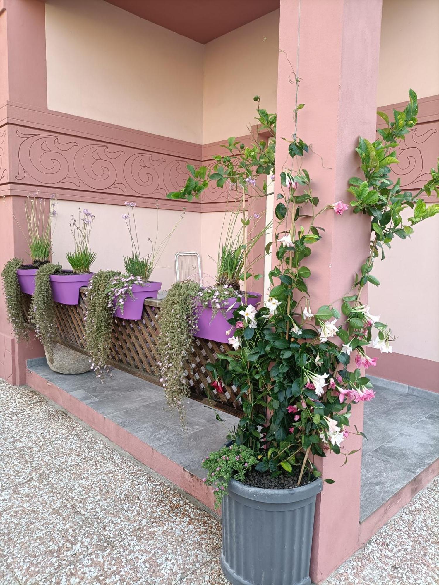 Maison Belle Epoque & Suites Ористано Стая снимка